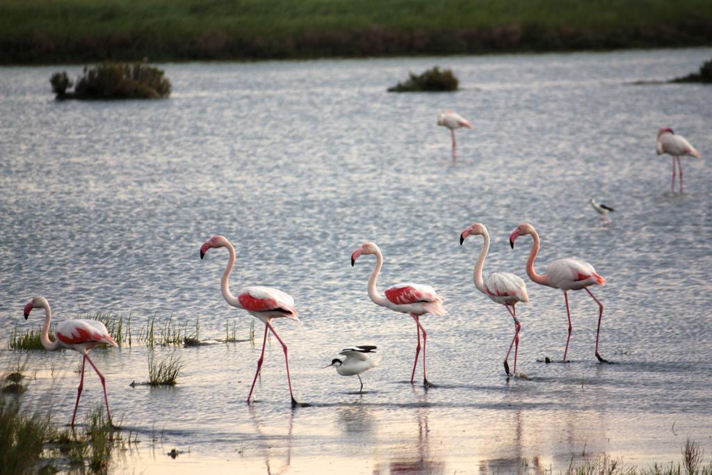 Penzion Residenza Le Saline Comacchio Exteriér fotografie